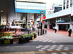 駅前のロータリーから伸びる道